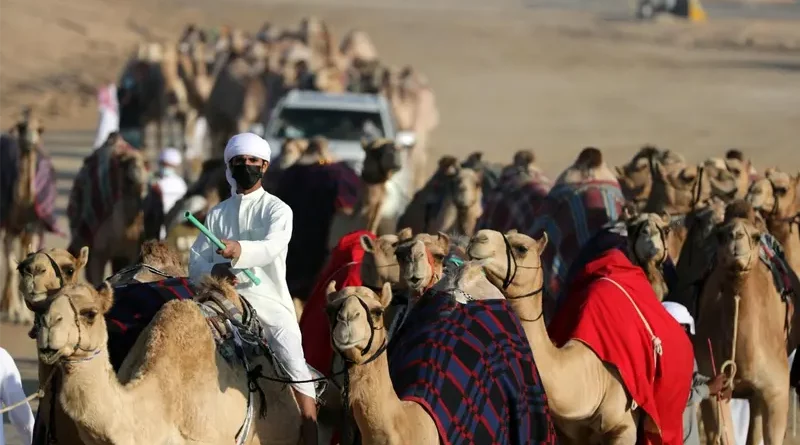 Al Dhafra Festival