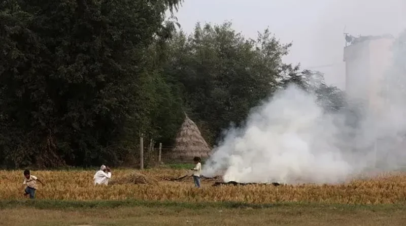 Indian Farmers