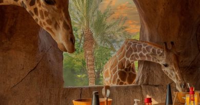 Have you ever imagined breaking your fast with a giraffe, an elephant, or a big cat?