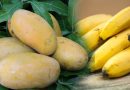 Banana-mango