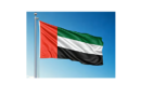 UAE Observes Day of Solidarity, Showcasing Unity, Strength, and Resilience