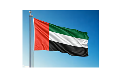 UAE Observes Day of Solidarity, Showcasing Unity, Strength, and Resilience