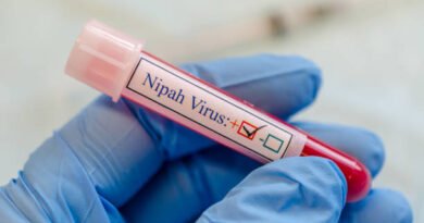 Nipah Virus Advisory: What UAE Passengers Travelling to India Should Know