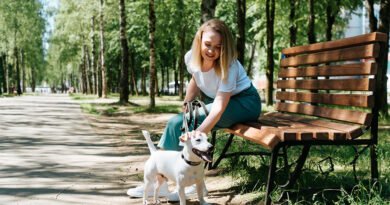 Abu Dhabi Introduces Mandatory Pet Registration Rule with Dh1,000 Fine