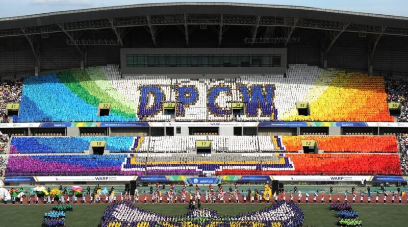 10th Anniversary of the DPCW: Advancing the Global Effort to Write Peace into Law