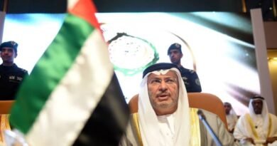 UAE Proved Strong Readiness and Cohesion During Crises