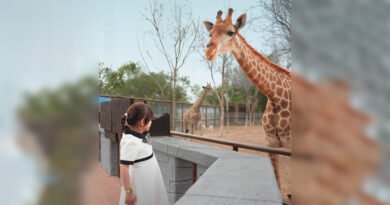 Kids Go For Free